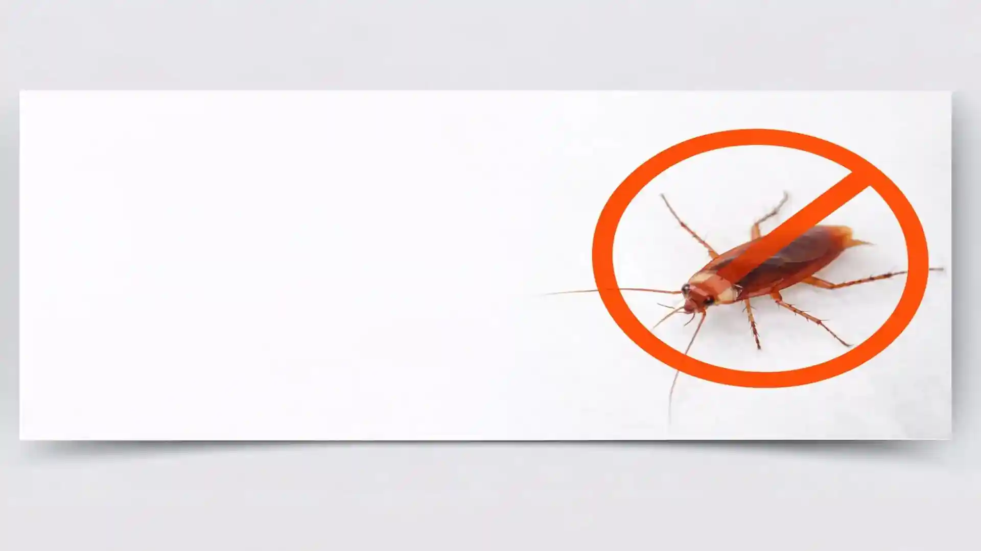German cockroach with no-entry warning sign for professional cockroach extermination services in London and Essex
