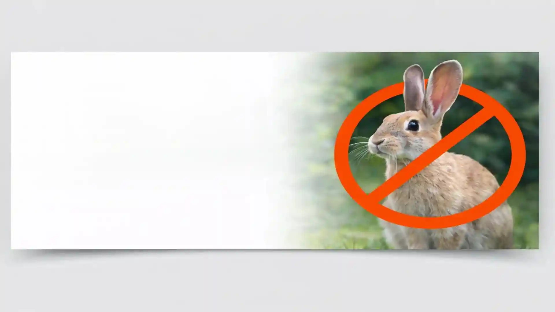 Wild rabbit in a garden with no-entry warning sign for professional rabbit control services in London and Essex