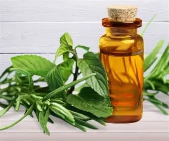 Essential oils lack the residual activity needed to treat bed bug infestations. Tea tree oil bottle with herbs — a common but ineffective bed bug home remedy