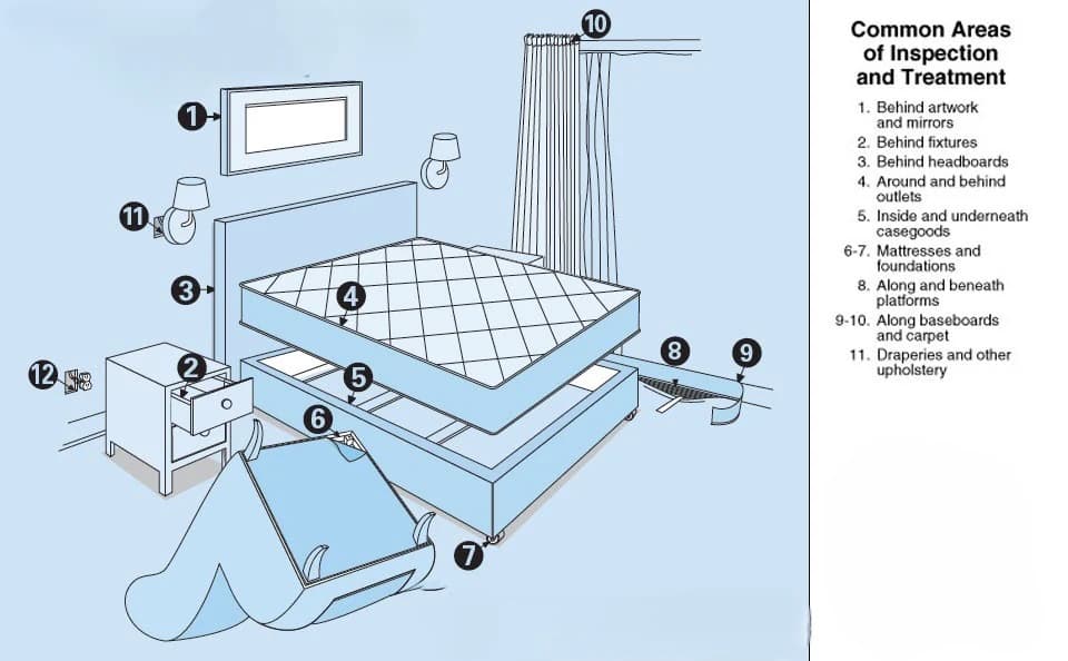 Common areas of inspection and treatment for bed bugs in a bedroom. Diagram showing common areas to inspect for bed bugs in a bedroom