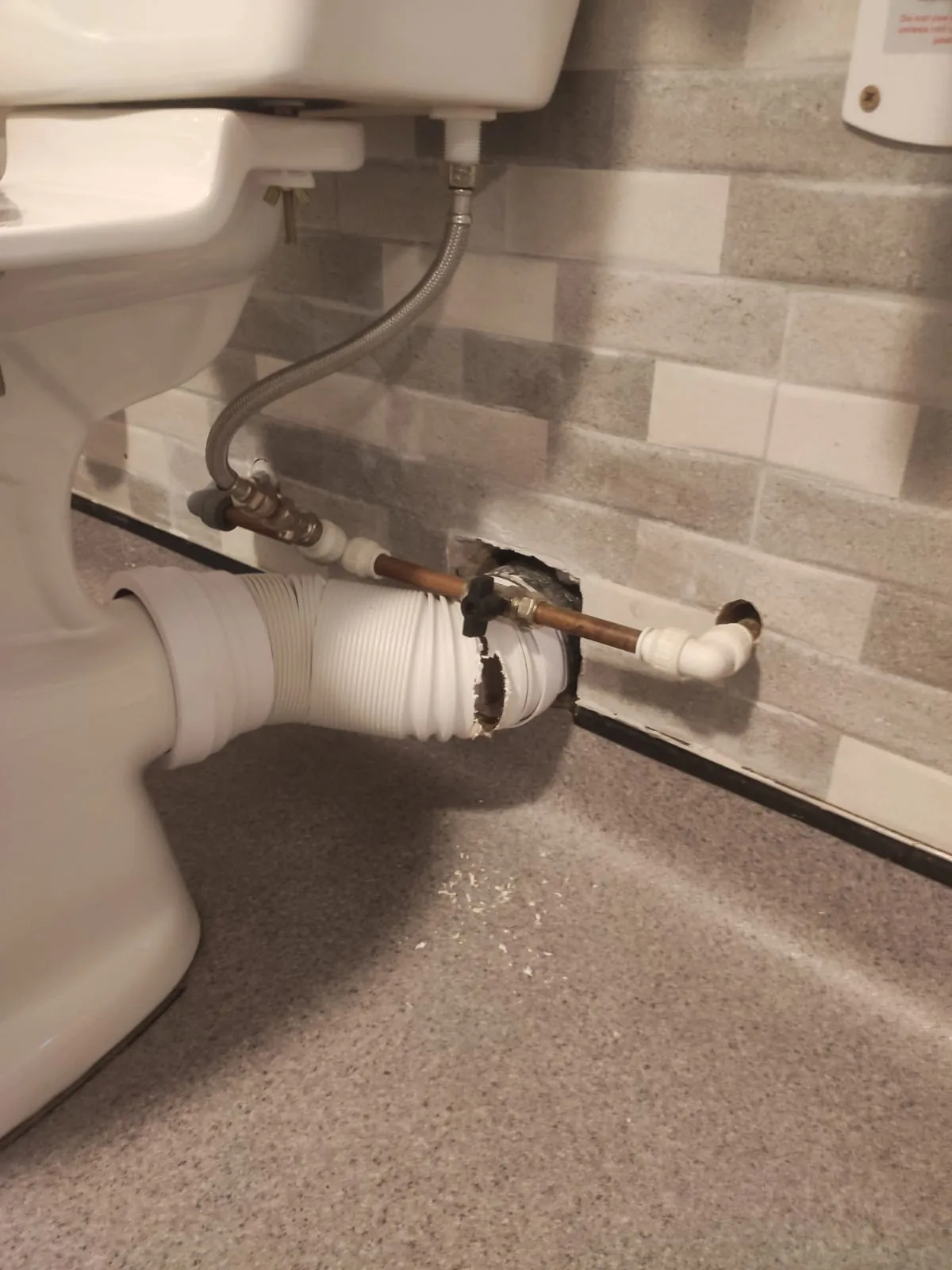 Bathroom toilet waste pipe damaged by rats gnawing through to access the property from drains Bathroom toilet waste pipe damaged by rats gnawing through to access the property from drains